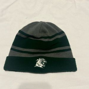 Under Armour northern Michigan wildcat gray/green winter hat